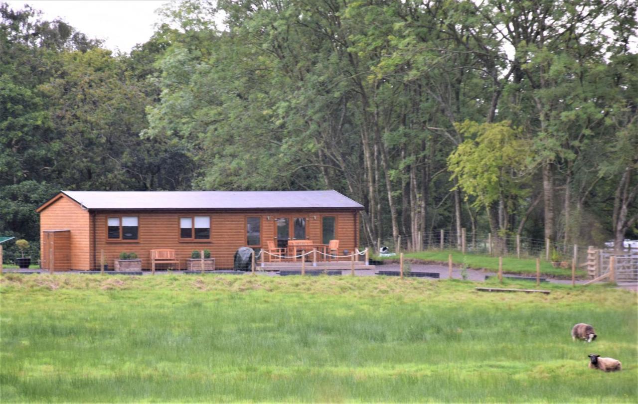 Ridge View Lodge ดัมฟรีส์ ภายนอก รูปภาพ